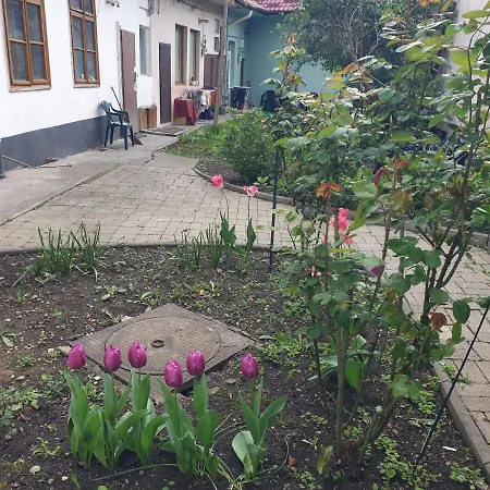 Lägenhet Apartament/ Casa/ Ultracentral *